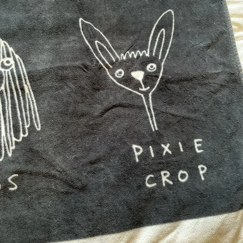 Pottery Barn Teen Beach Towel Dog Humor Hairstyle Bangs Whimsical Designs Blue
